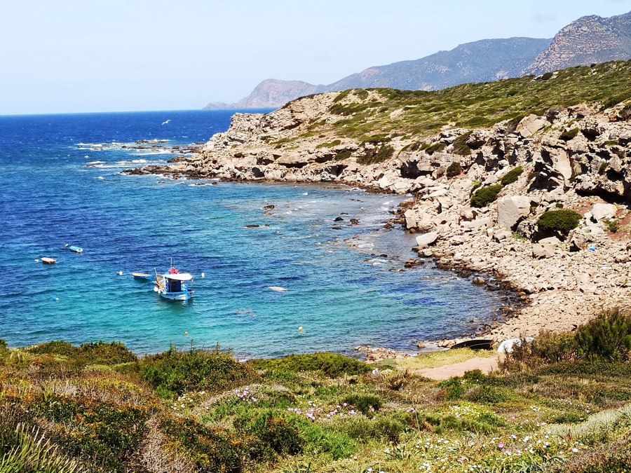 Cala del Vino