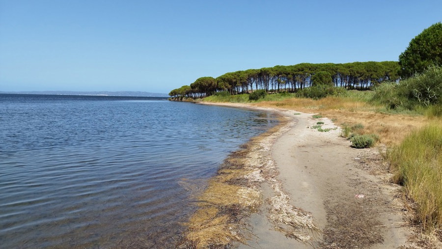 Spiaggia di Corongiuali