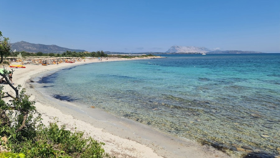 Spiaggia del Veraclub Amasea