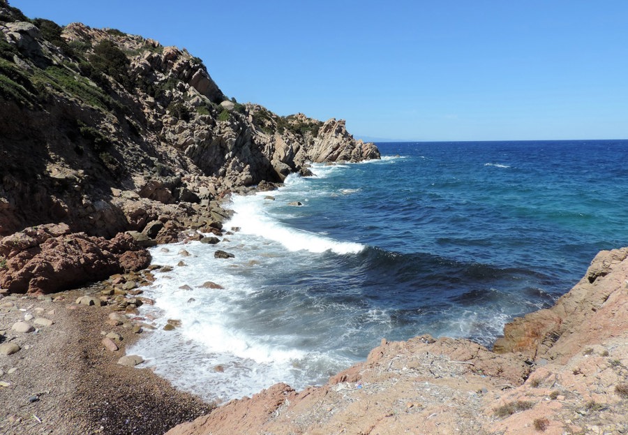 Cormorant beach