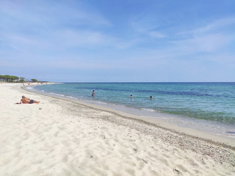 Spiaggia per Cani