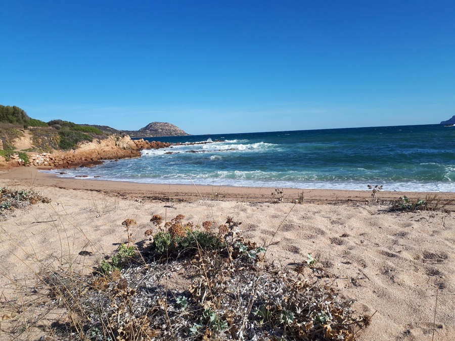 Spiaggia la Finosa