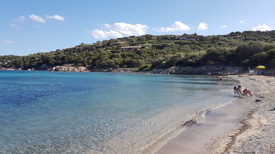 Spiaggia Alghe