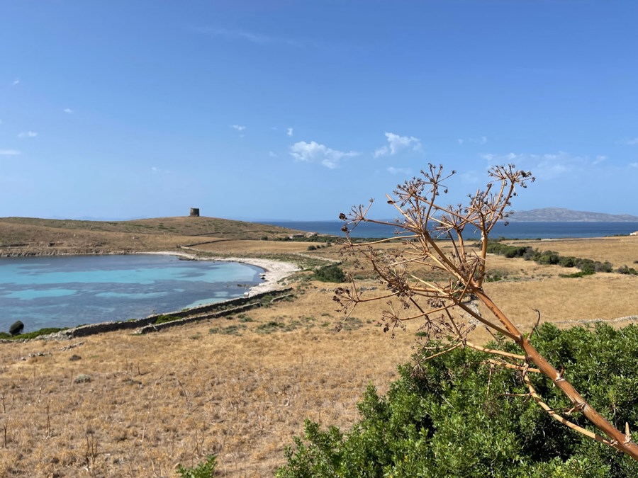 Spiaggia di Cala Barche Napoletane